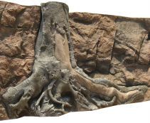 3D фон для аквариума. Купить объёмные рельефные фоны для аквариума от 1632 руб. 