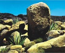 Купить задний пленочный фон картинку для аквариума в интернет магазине по выгодной цене.