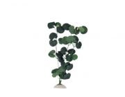 V Шелковое растение 20см (AP-111-20)