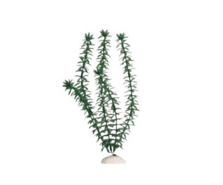 Искусственное растение 