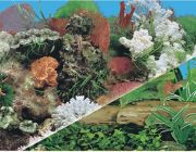BOYU Фон для аквариума двухсторонний 60см*15м (J01/J11-60)