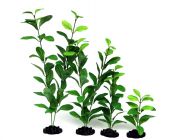 V Шелковое растение 