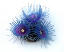 Декор из силикона 