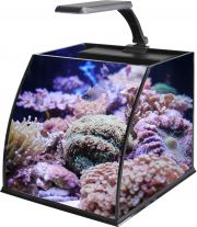 Аквариум 11л, со светильником 2,4Вт и фильтром (BELLYBOX25)