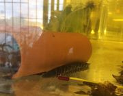 Тигровый нож KNIFE FISH TIGER