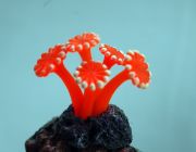 Декор из силикона 