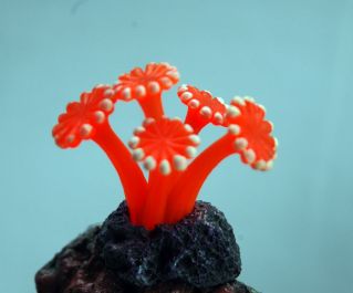 Декор из силикона 