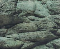 BOYU Фон для аквариума двухсторонний 30см*15м  (J05/J07-30)