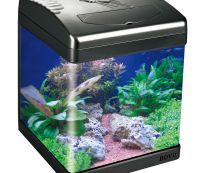 Аквариум черный, 26л, фильтр 4 Вт, светильник 11/13Вт. (ASD-320MD black)