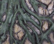 Трехмерный (объемный) фон для аквариума 45*45*5 (BJ011C)