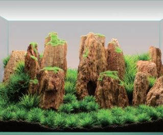 Аквадизайн 