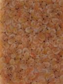 Криль замороженный для рыб купить оптом