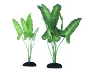 V Шелковое растение 