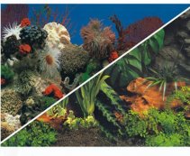 BOYU Фон для аквариума двухсторонний 70см*15м (C021070)
